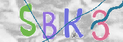 Kontrolní text