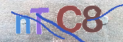Kontrolní text
